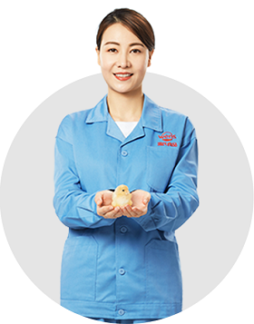 Z6·尊龙凯时(中国区)人生就是搏!